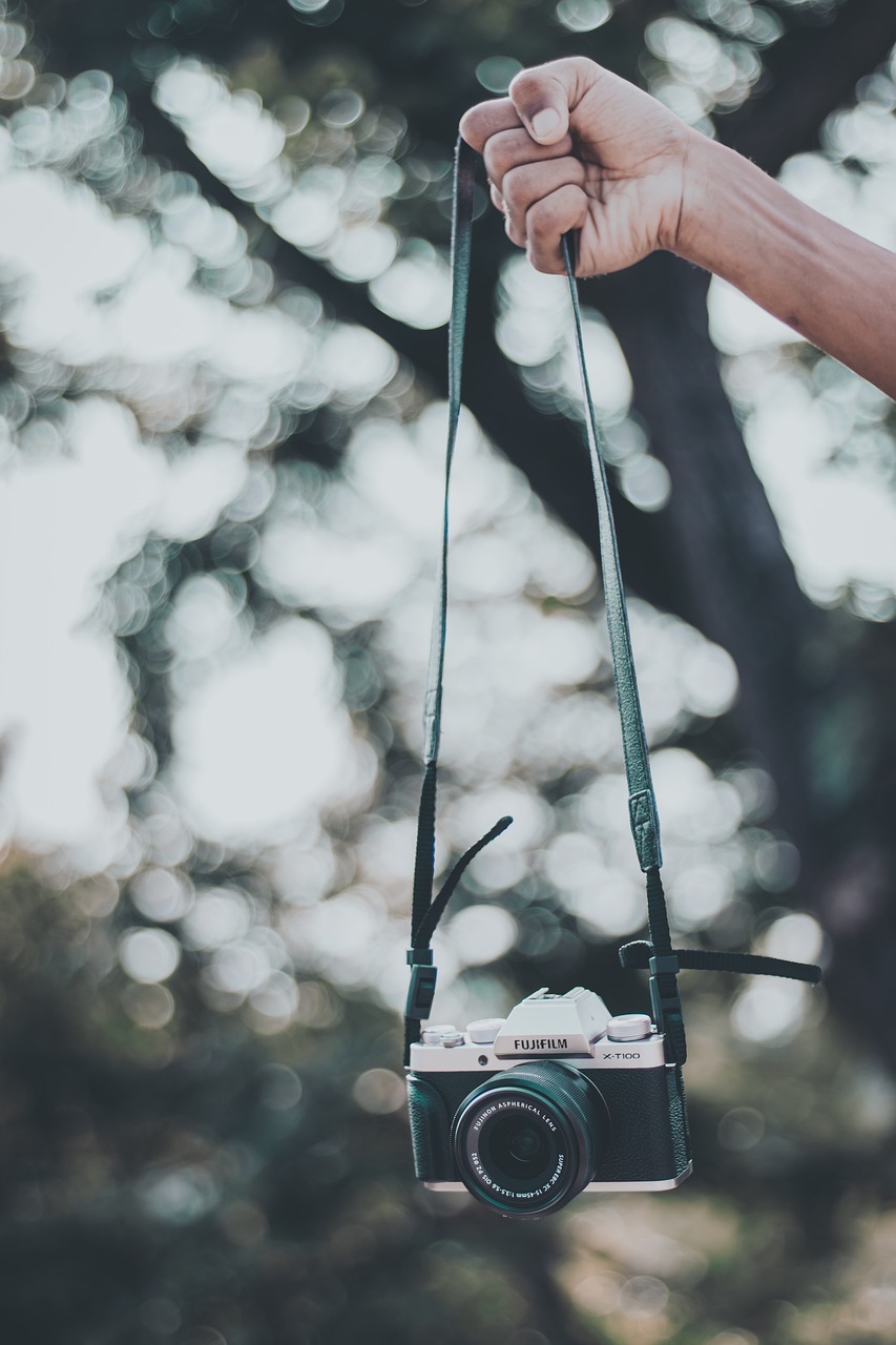 camera, photographer, outdoor, nature, tree, connectcompetition, concept